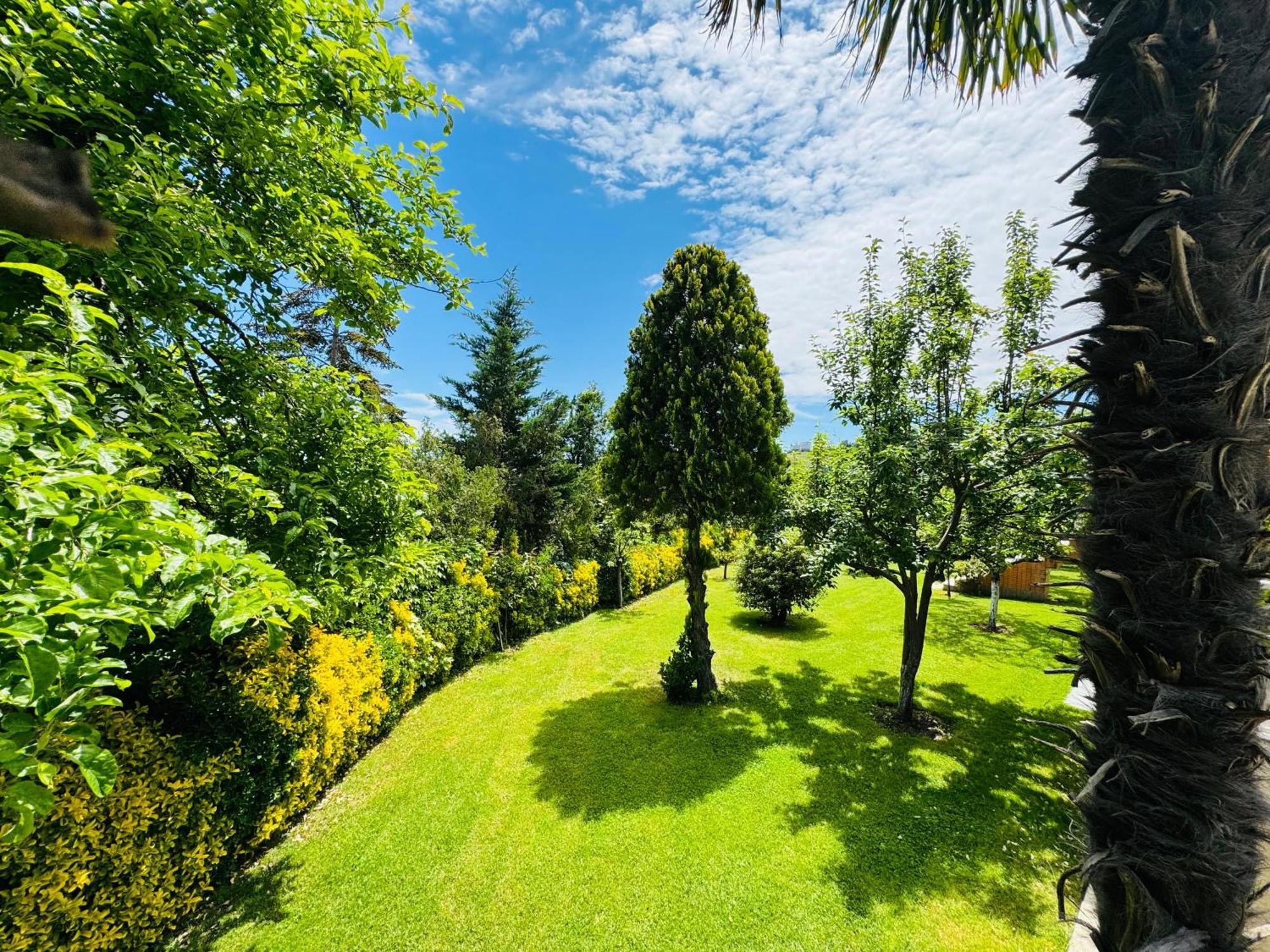 Treekos Suite Hotel Istanbul Airport Arnavutkoy 외부 사진