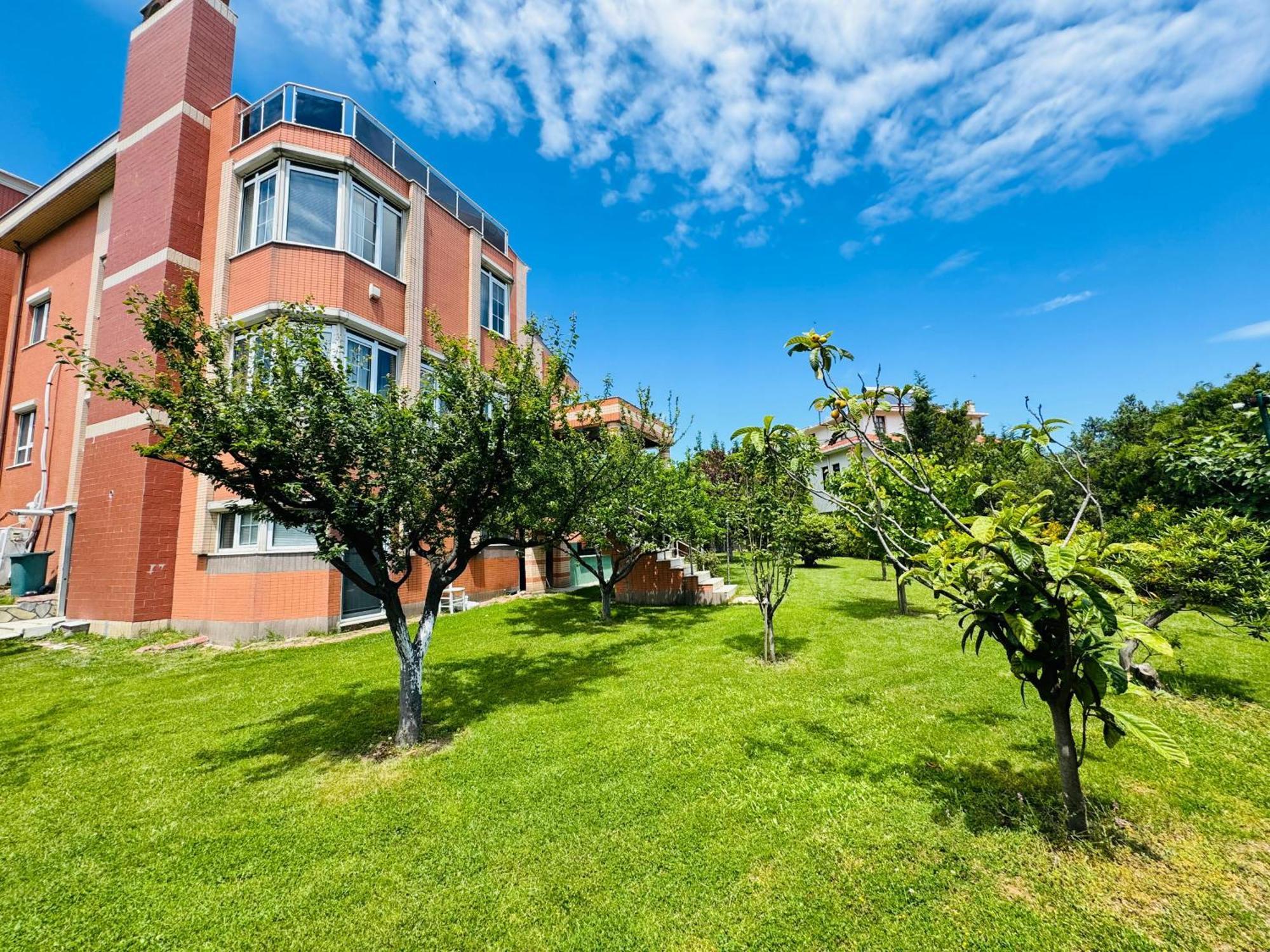 Treekos Suite Hotel Istanbul Airport Arnavutkoy 외부 사진