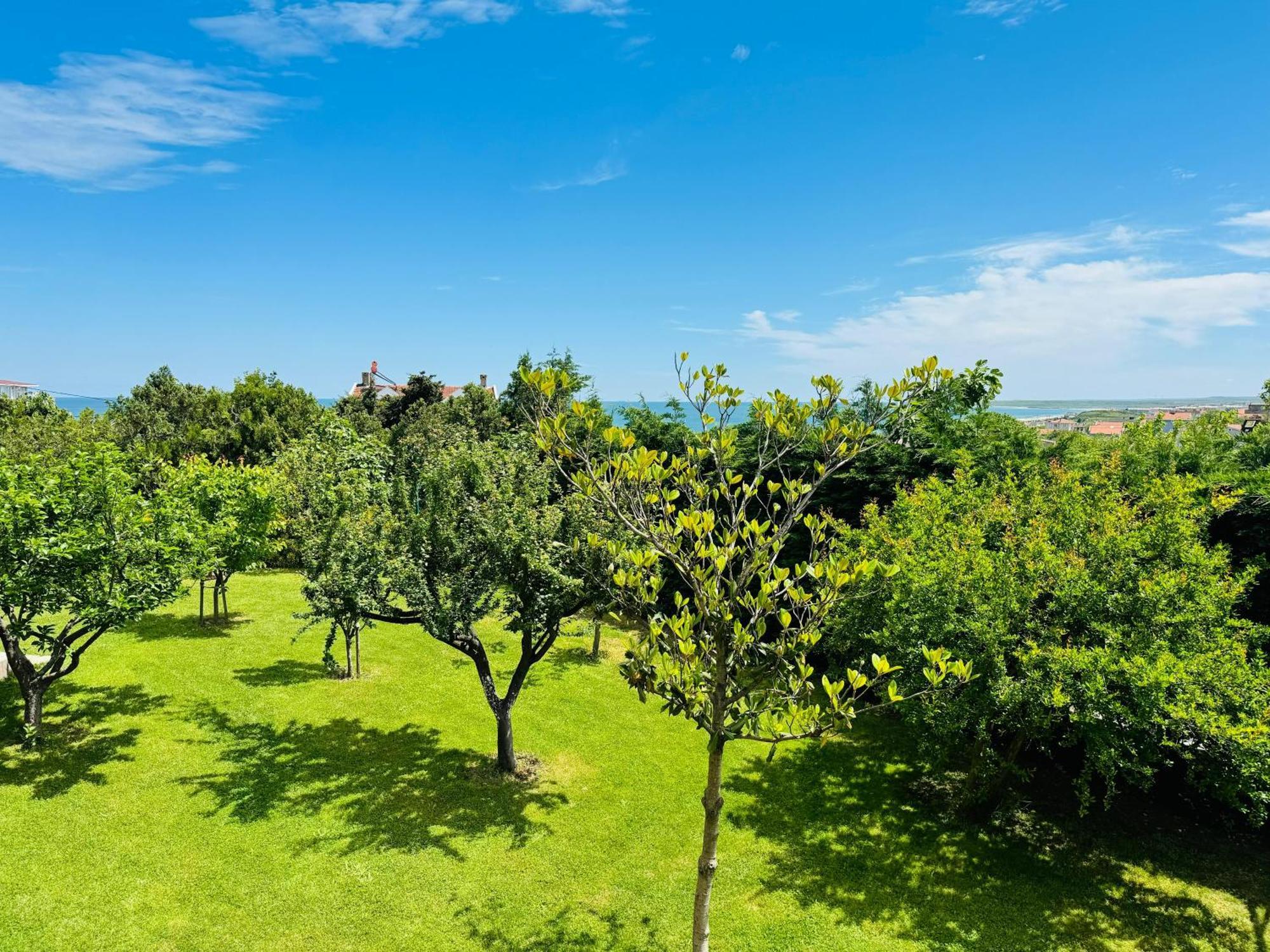 Treekos Suite Hotel Istanbul Airport Arnavutkoy 외부 사진